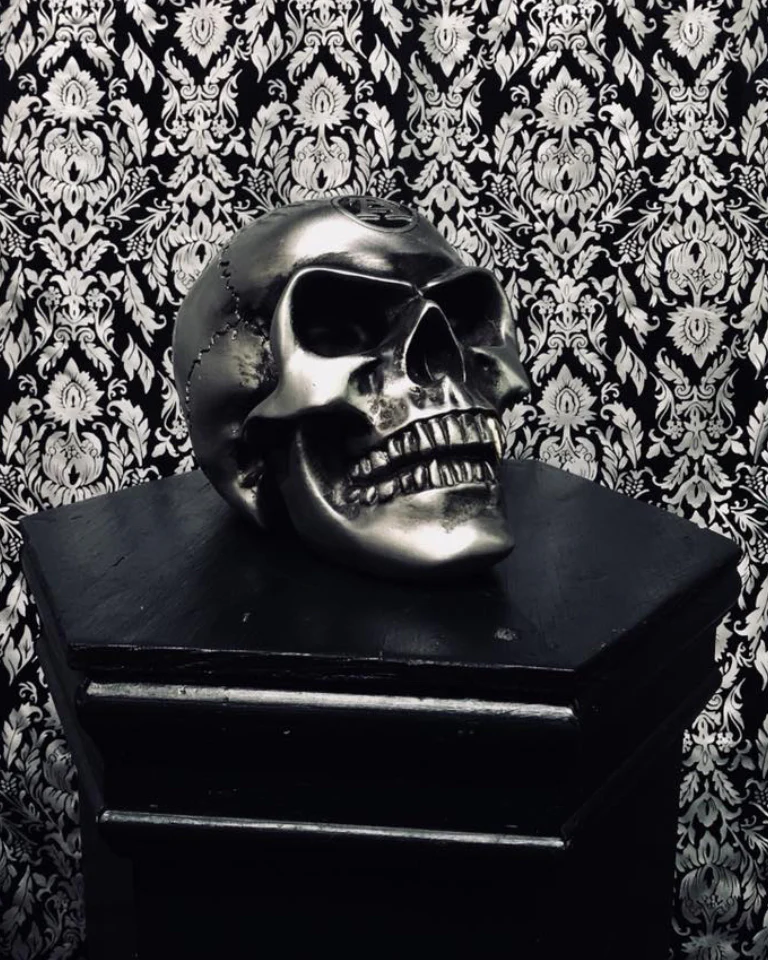 METALIZED ALCHEMIST SKULL - Image 4