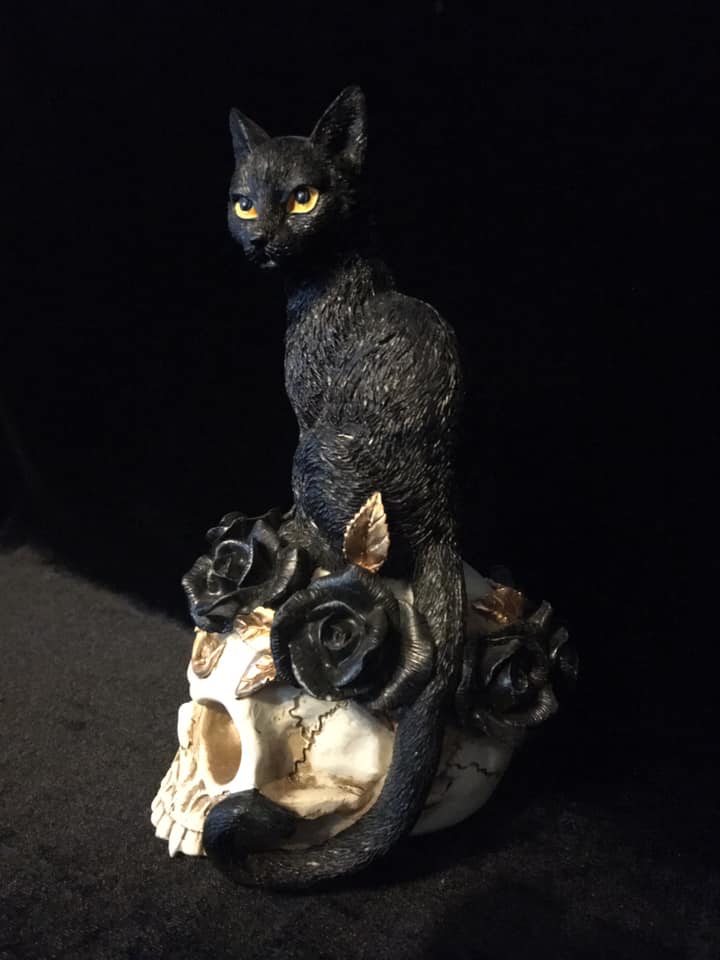 THE ALCHEMIST'S CAT - Image 2