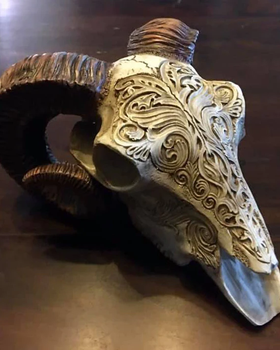 SCRIMSHAW RAM'S SKULL - Image 3